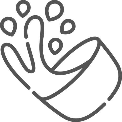 婚禮儀式,迎娶儀式,結婚儀式